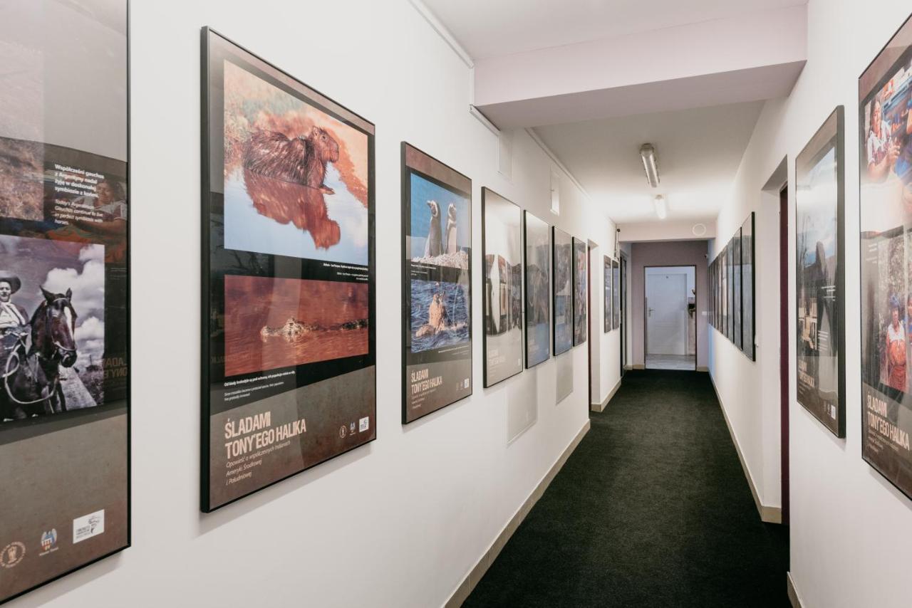 Cilantro Bed & Breakfast Wroclaw Luaran gambar